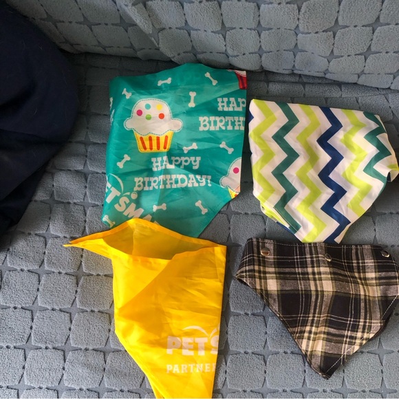 Dog Bandanna Bundle of 5 very cute fun bandannas including birthday one - Picture 6 of 8